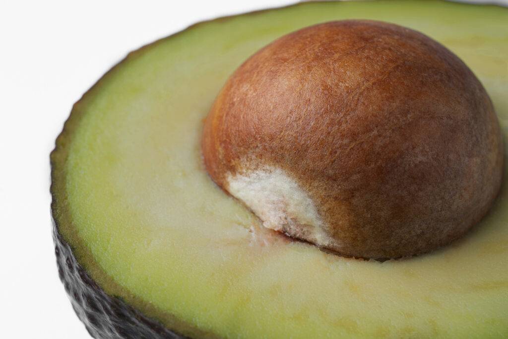 para-que-serve-o-caroço-de-abacate