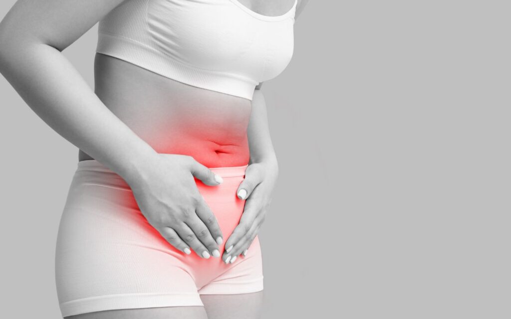 fases do ciclo menstrual